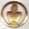 Insigne de Béret Génie (Dra)