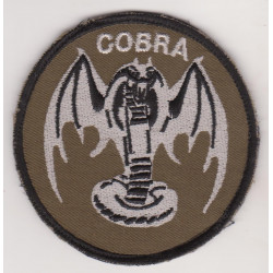 Ecusson des Batteries COBRA du 1er Régiment d'Artillerie (3)