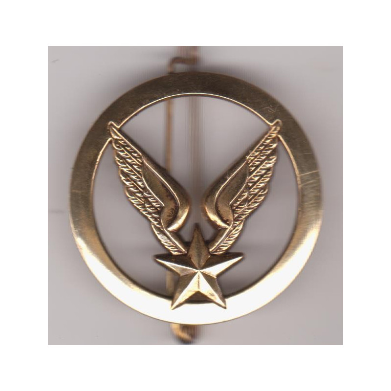 Insigne de Béret Aviation Légère de l'Armée de Terre doré (Coi)