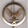 Insigne de Béret Aviation Légère de l'Armée de Terre doré (Coi)