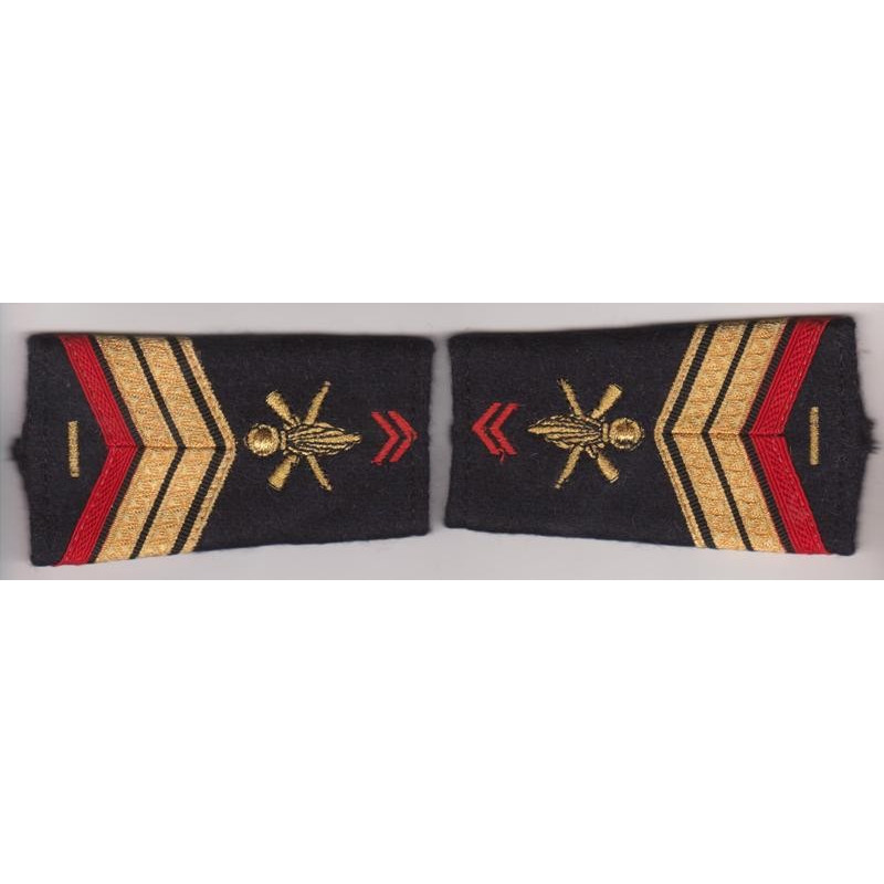 Paire de fourreaux d'épaule de Caporal-chef de 1ère Classe EVAT Infanterie + 5 ans