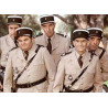 Cravate brune de sortie Années 60-70 Armée de Terre - Gendarmerie Nationale