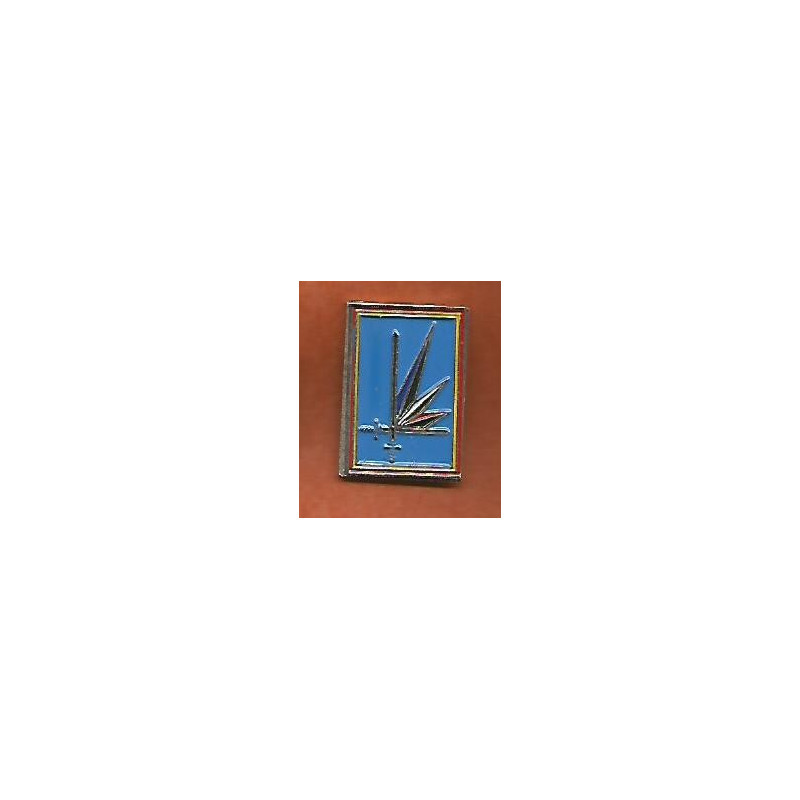 Pin's Région Militaire Terre Nord-Est / Zone de Défense Nord-Est (1)