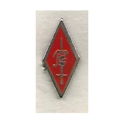 Réduction pin's Insigne 63° Division Militaire Territoriale - 10° Division Blindée (1)