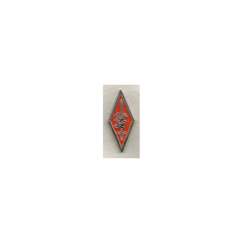 Réduction pin's Insigne 63° Division Militaire Territoriale - 10° Division Blindée (2)
