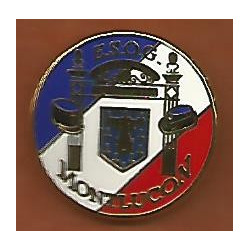 Pin's Ecole des Sous-Officiers de la Gendarmerie de Montluçon / Allier