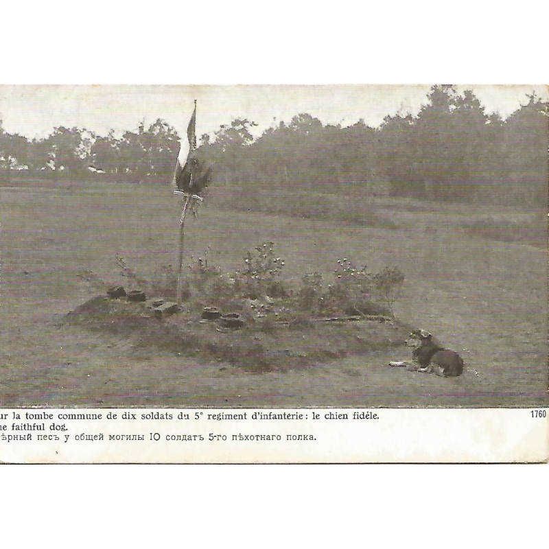 Sur la tombe commune de 10 Soldats du 5° Régiment d'Infanterie: Le Chien Fidèle