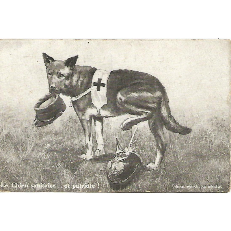 Le Chien Sanitaire... et Patriote! + Tampon régiment Le Chien Sanitaire... et Patriote! + Tampon régiment
