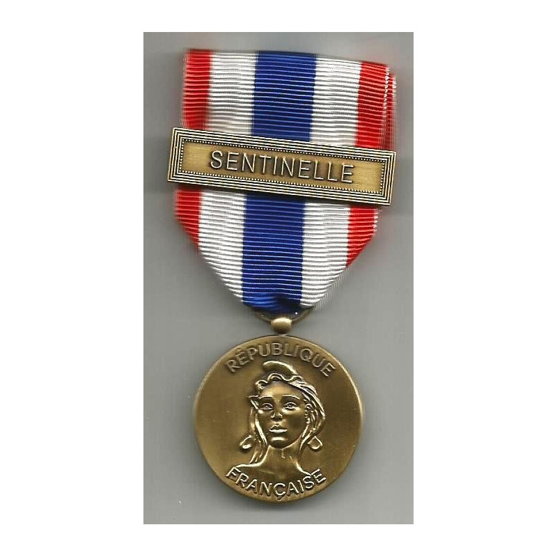 Médaille Protection Militaire du Territoire - Opération Sentinelle -  Vigipirate (3)