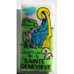 Pin's Gendarmerie Nationale - Sainte Geneviève (2)