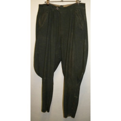 Pantalon combat d'officier de la Heer