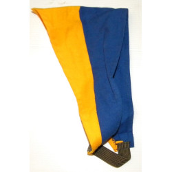 Foulard de Compagnie Bleu et Jaune