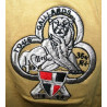 Tee-Shirt Opération PAMIR - 35ème Régiment d'Infanterie - Compagnie de Protection 2012-2013 - Afghanistan - Occasion