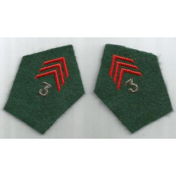 Paire de pattes de collet d'Officier du 3ème Régiment de Commandement et de Soutien