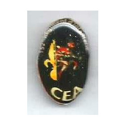 Pin's Compagnie Eclairage et Appui du 152ème Régiment d'Infanterie - Artisanal Liban