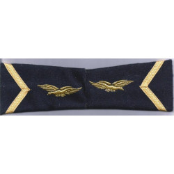 Paire de fourreaux d'épaule de Sergent appelé Armée de l'Air