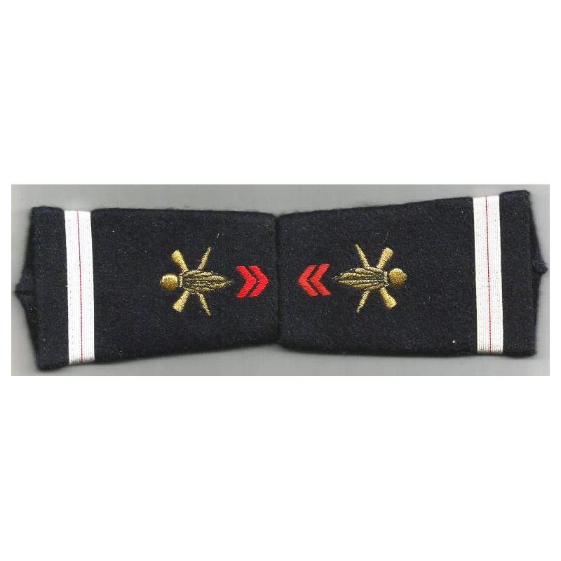 Paire de fourreaux d'épaule d'Adjudant Infanterie