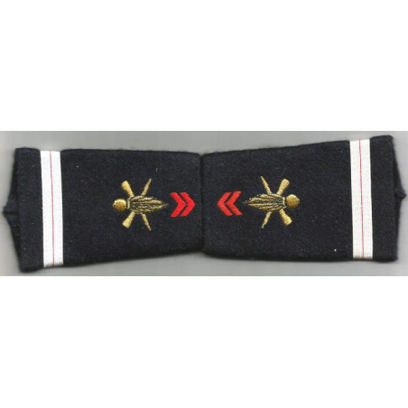 Paire de fourreau / passant d'épaule de scientifique du contingent (b