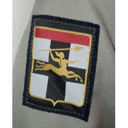 Vareuse TDF Infanterie + Insigne 7ème Division Blindée + Losange du 152ème Régiment d'Infanterie NEUVE
