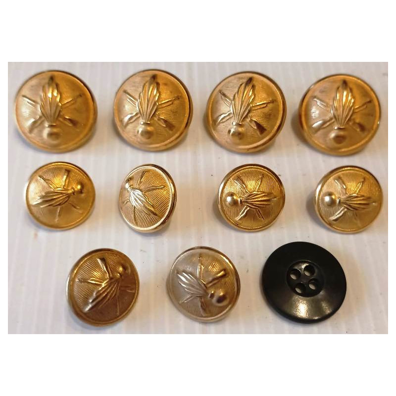 Jeu de boutons complet pour Vareuse de TDF Infanterie Jeu de boutons complet pour Vareuse de TDF Infanterie