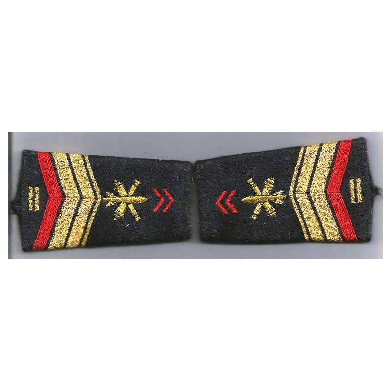 Paire de fourreaux d'épaule de Brigadier-chef de 1ère Classe EVAT Artillerie + 10 ans