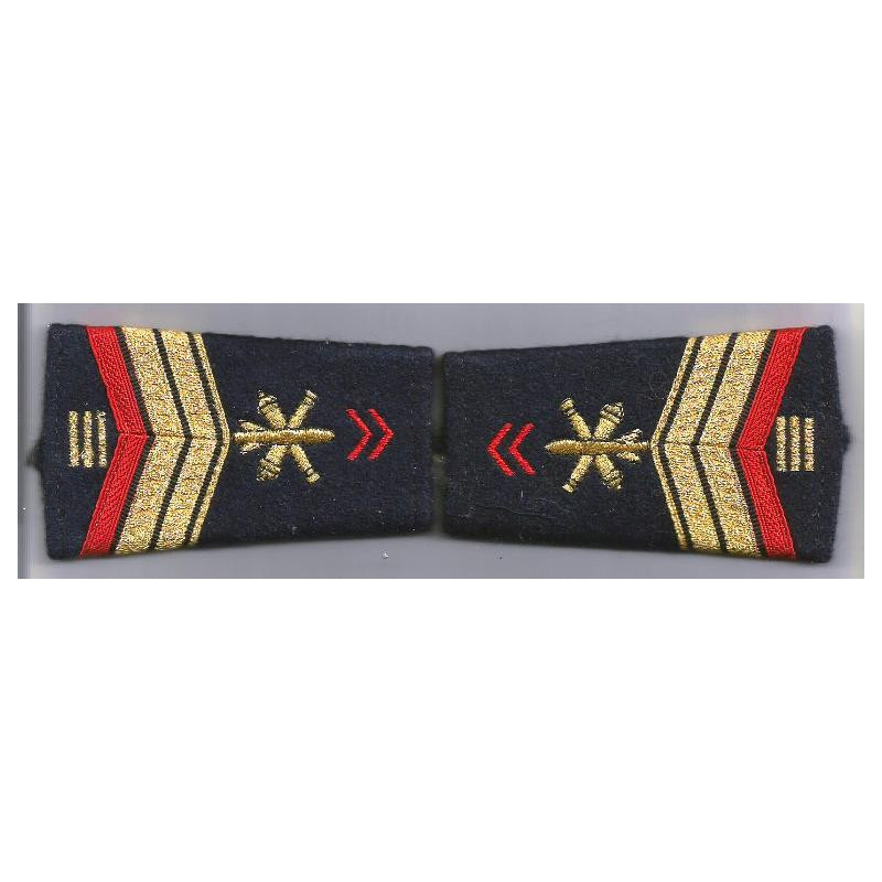 Paire de fourreaux d'épaule de Brigadier-chef de 1ère Classe EVAT Artillerie + 15 ans