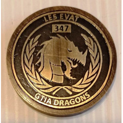 Coin EVAT 1er Régiment Etranger Cavalerie - GTIA Dragons - Force Commander Reserve 34 - Matriculé - Légion Etrangère au Liban