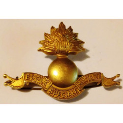 Insigne de Béret de l'Ecole Spéciale Militaire - Elèves officiers Saint-Cyr Coëtquidan