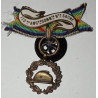 Boutonnière de la Médaille de la Fédération des Anciens Combattants de Haute-Saône - 1914/1918