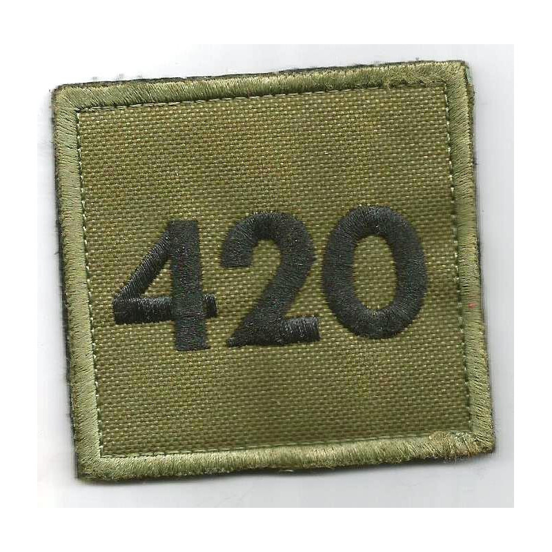 Ecusson camouflé velcro Opérations Extérieures 420ème D.S.L. - OPEX Guerre Division Sud Liban