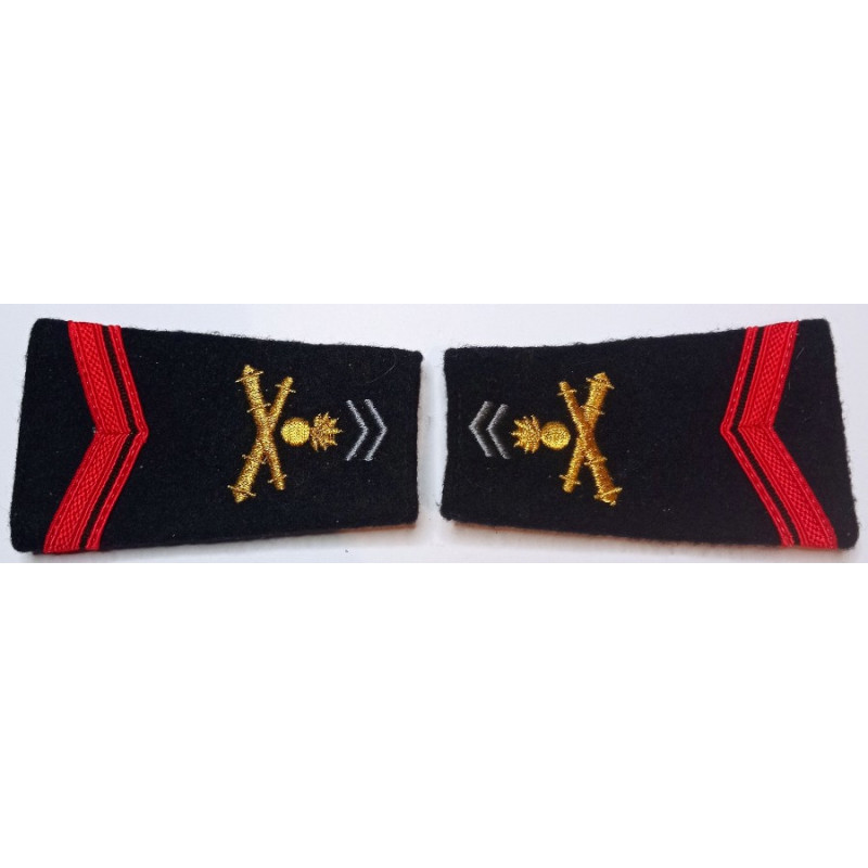 Paire de fourreaux d'épaule de Soldat de 1ère Classe EVAT du 1er Régiment d'Artillerie