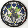 Ecusson Gendarmerie Départementale - Peloton Surveillance Intervention / PSIG de Roanne