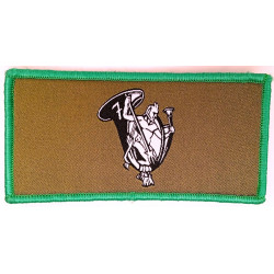 Ecusson velcro de Compagnie du 7ème Bataillon de Chasseurs Alpins - Petit Modèle Listel Vert