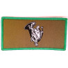 Ecusson velcro de Compagnie du 7ème Bataillon de Chasseurs Alpins - Petit Modèle Listel Vert