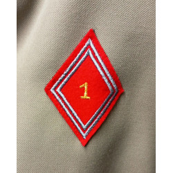 Vareuse TDF Artillerie + Insigne "1ère Division Blindée" + Nouveau Losange du 1er R.A. sous-officier/officier NEUVE