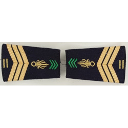 Paire de fourreaux d'épaule de Sergent-chef 3ème Régiment Etranger d'Infanterie + 10 ans - Légion Etrangère Guyane