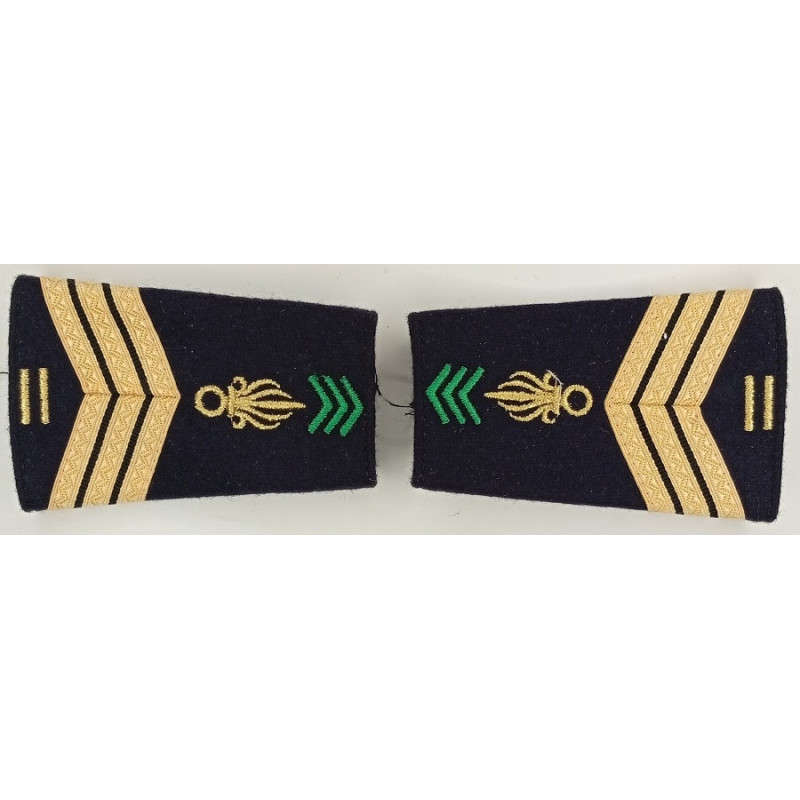 Paire de fourreaux d'épaule de Sergent-chef 3ème Régiment Etranger d'Infanterie + 10 ans - Légion Etrangère Guyane Paire de fourreaux d'épaule de Sergent-chef 3ème Régiment Etranger d'Infanterie + 10 ans - Légion Etrangère Guyane