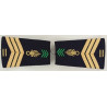 Paire de fourreaux d'épaule de Sergent-chef 3ème Régiment Etranger d'Infanterie + 10 ans - Légion Etrangère Guyane