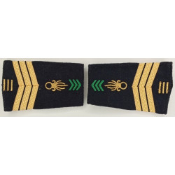 Paire de fourreaux d'épaule de Sergent-chef 3ème Régiment Etranger d'Infanterie + 15 ans - Légion Etrangère Guyane