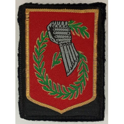 Ecusson montage Pin's Chemise/tte de TDF 6ème Brigade Légère Blindée - 2ème Régiment Etranger d'Infanterie - Légion Etrangère