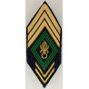 Losange de bras de Sergent-chef 3ème Régiment Etranger d'Infanterie + 10 ans - Légion Etrangère Guyane