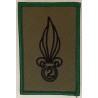 Ecusson velcro de Compagnie du 2ème Régiment Etranger d'Infanterie Listel vert - Légion Etrangère Nimes