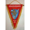 Grand Fanion du 401ème Régiment d'Artillerie - DRAGUIGNAN