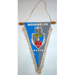 Grand Fanion du 10ème Régiment de Commandement et de Soutien - MOURMELON