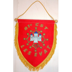 Grand Fanion des EVAT de la 81ème Compagnie de Transport et de Soutien / Infanterie