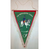 Grand Fanion des Brigadiers-chefs des 1er - 2ème Régiment de Chasseurs