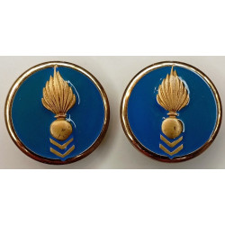 Paire d'insignes de col de TDF Cadre Spécial de Groupe Spécialisé d'Etat-Major (Coi)