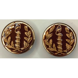 Paire d'insignes de col de TDF Chirurgiens Médecins du Service de Santé (Coi)