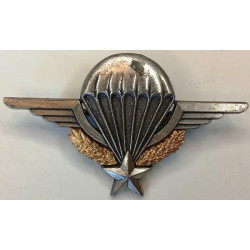 Brevet de Parachutiste / Troupes aéroportées (Del)