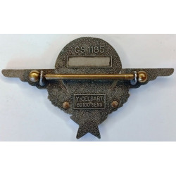 Brevet de Parachutiste / Troupes aéroportées (Del)